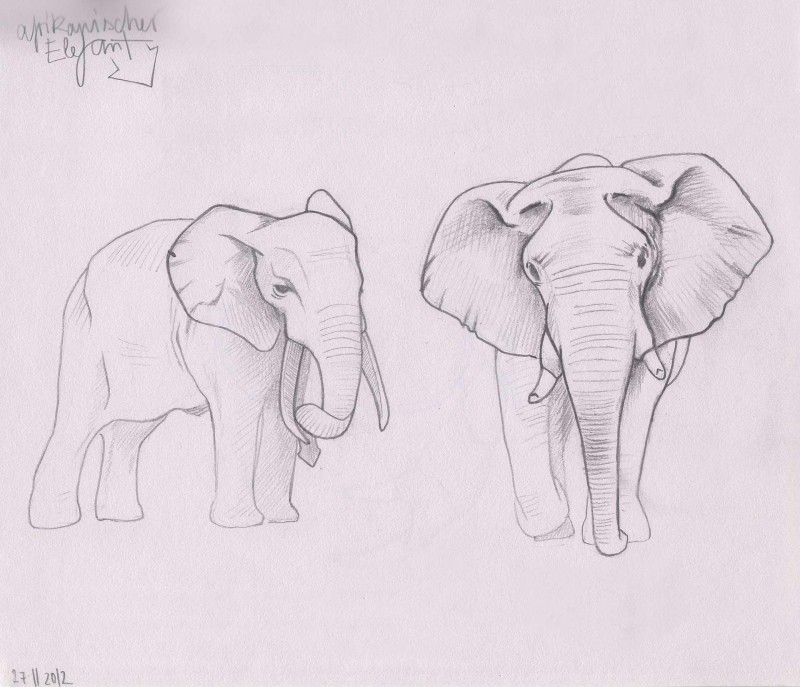 Skizzenbuch afrikanischer Elefant