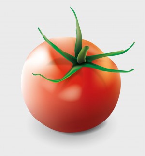 eine Tomate